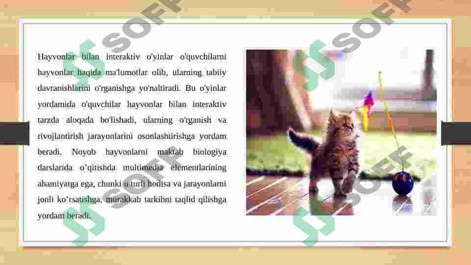 Preview 4