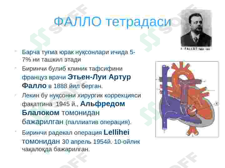 Preview 5