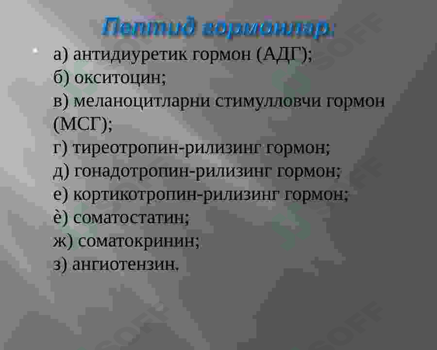 Preview 5