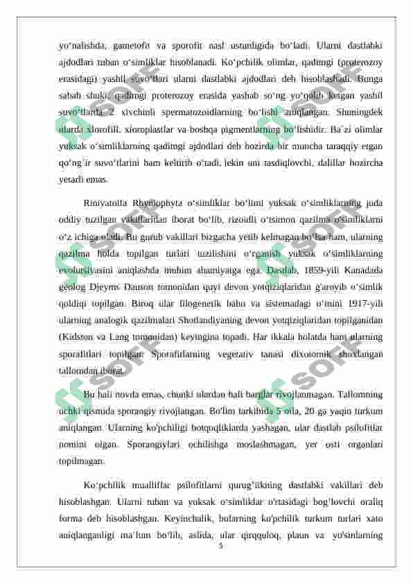 Preview 5