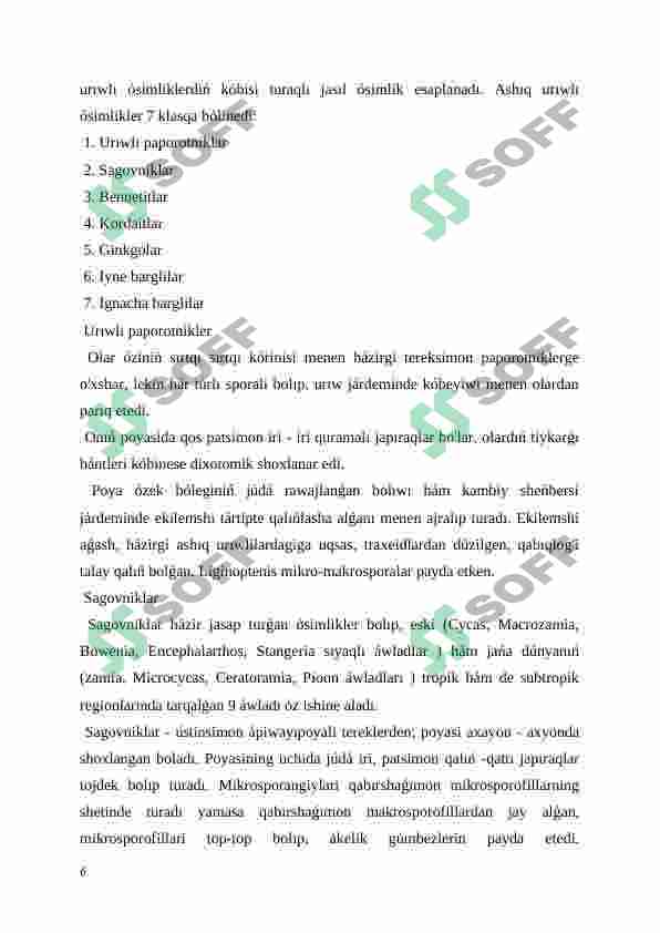 Preview 6