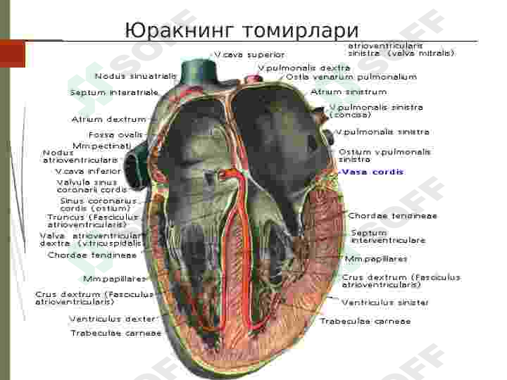 Preview 7