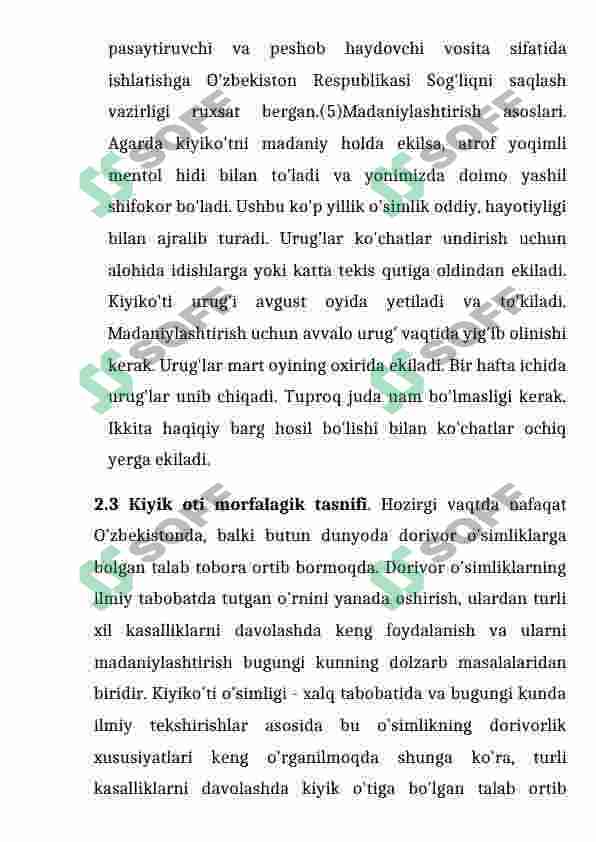 Preview 7