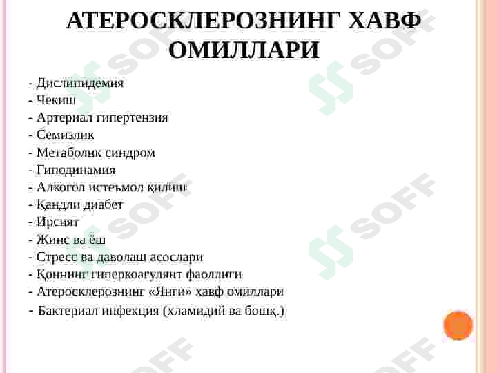 Preview 7
