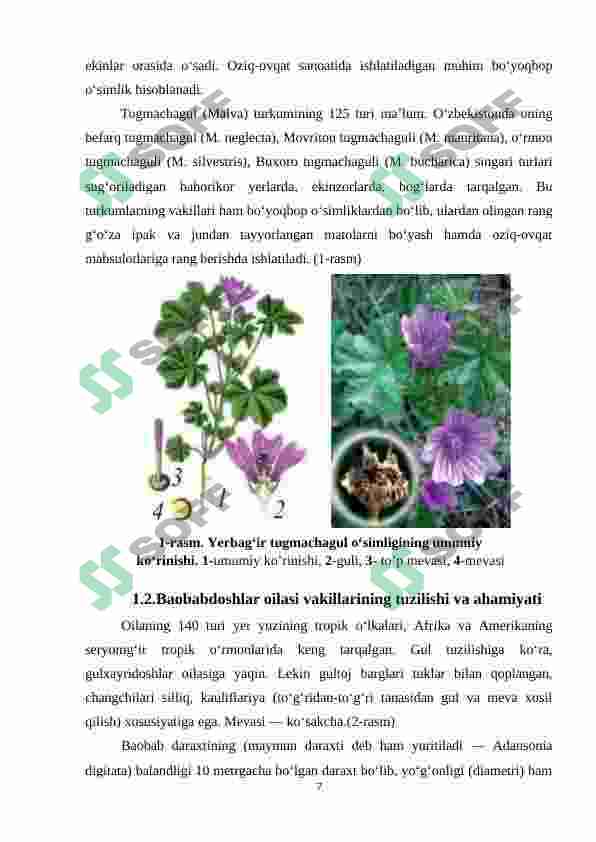 Preview 7