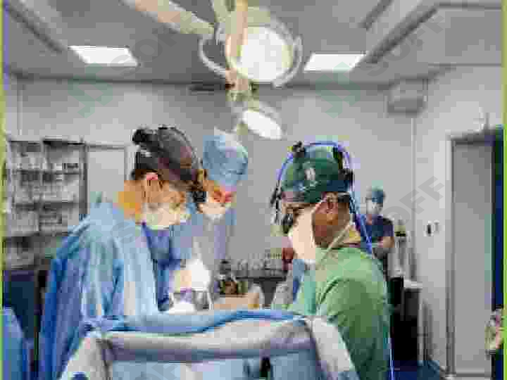 Preview 7