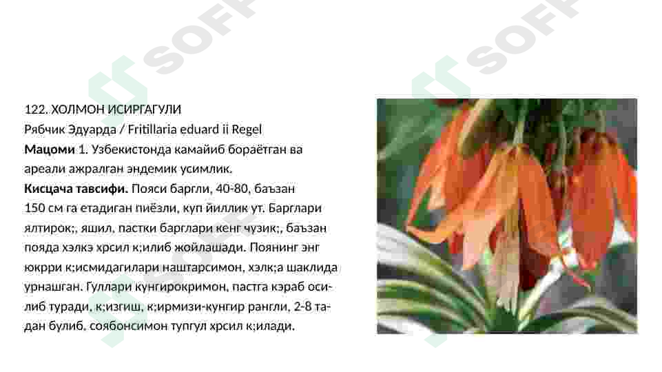 Preview 7