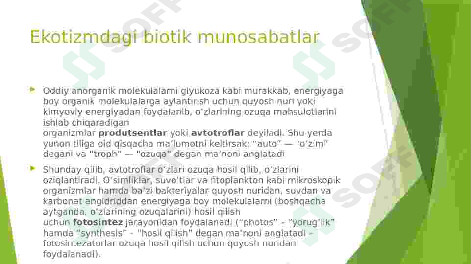 Preview 7