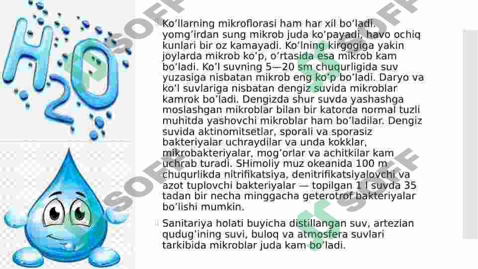 Preview 8