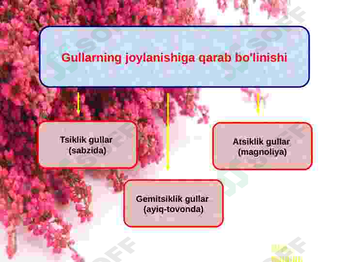 Preview 8