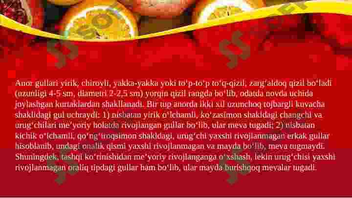 Preview 7