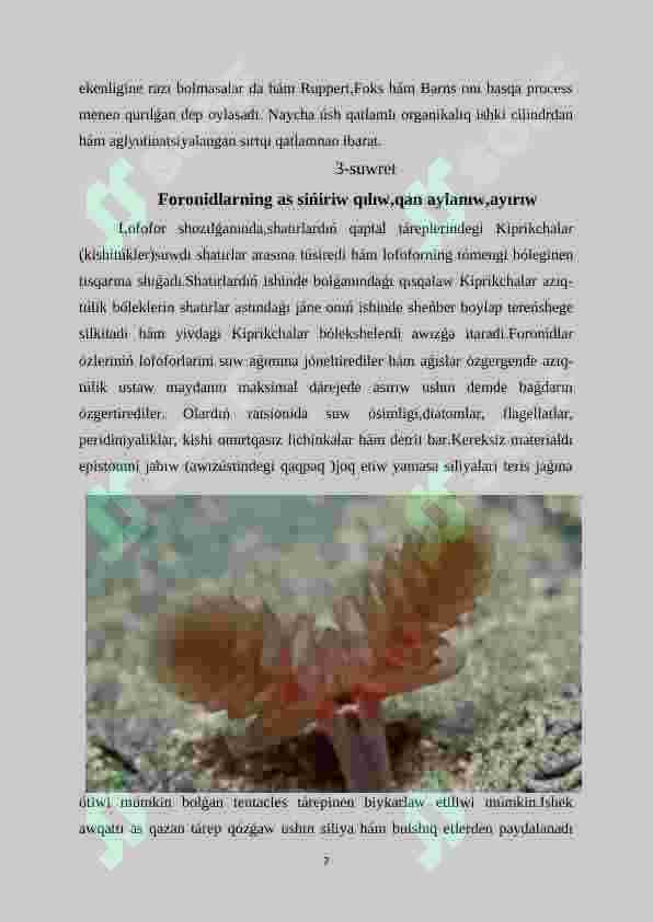 Preview 7