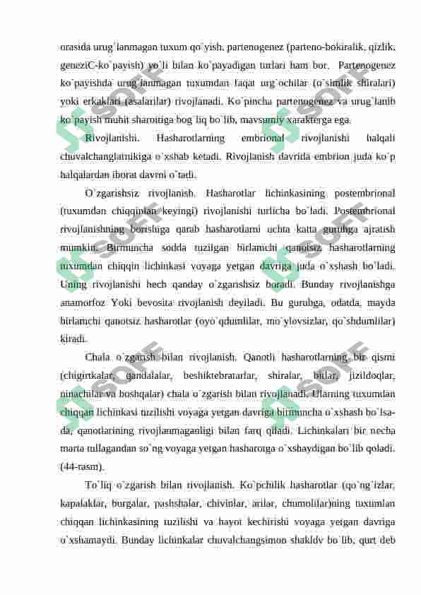Preview 7