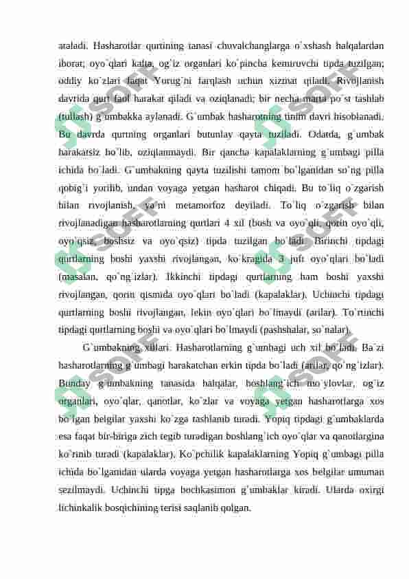 Preview 8