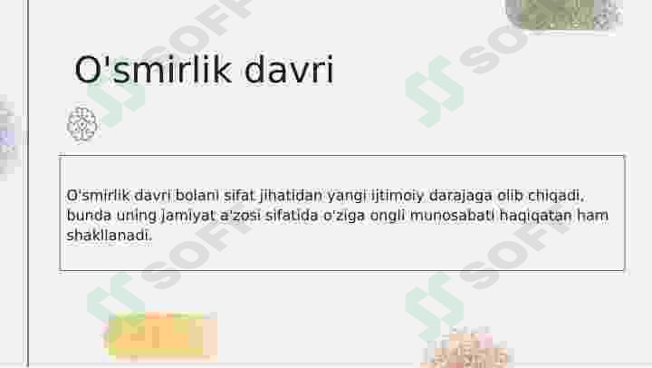 Preview 7
