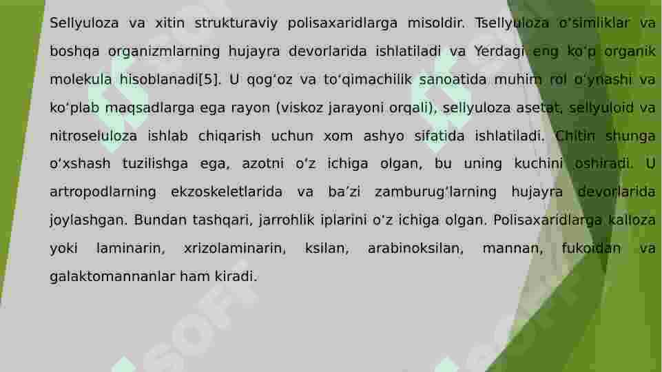 Preview 7