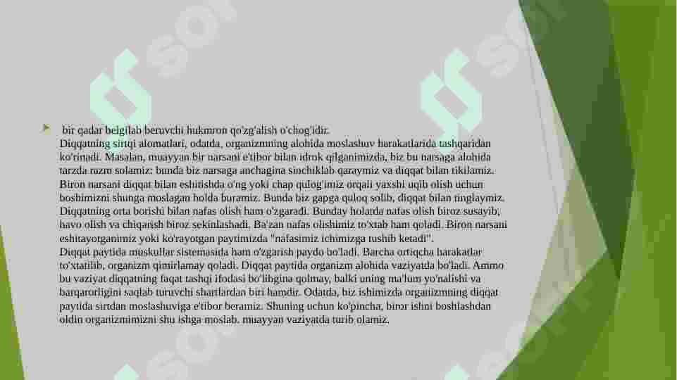 Preview 8