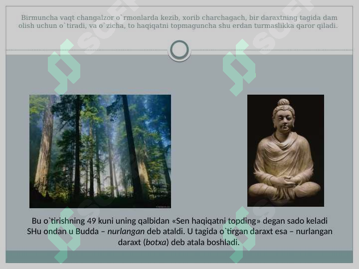 Preview 8