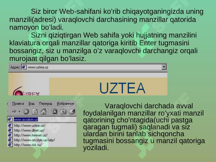 Preview 4