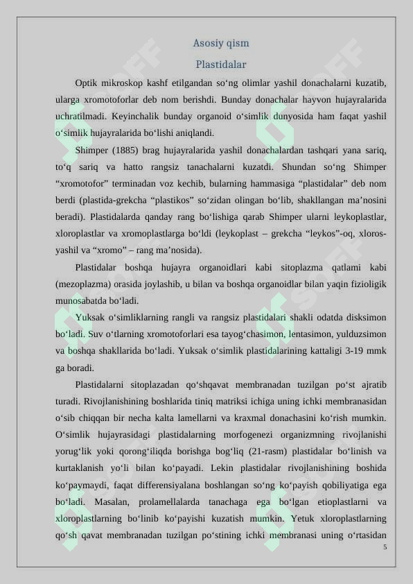 Preview 5