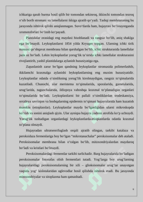 Preview 6