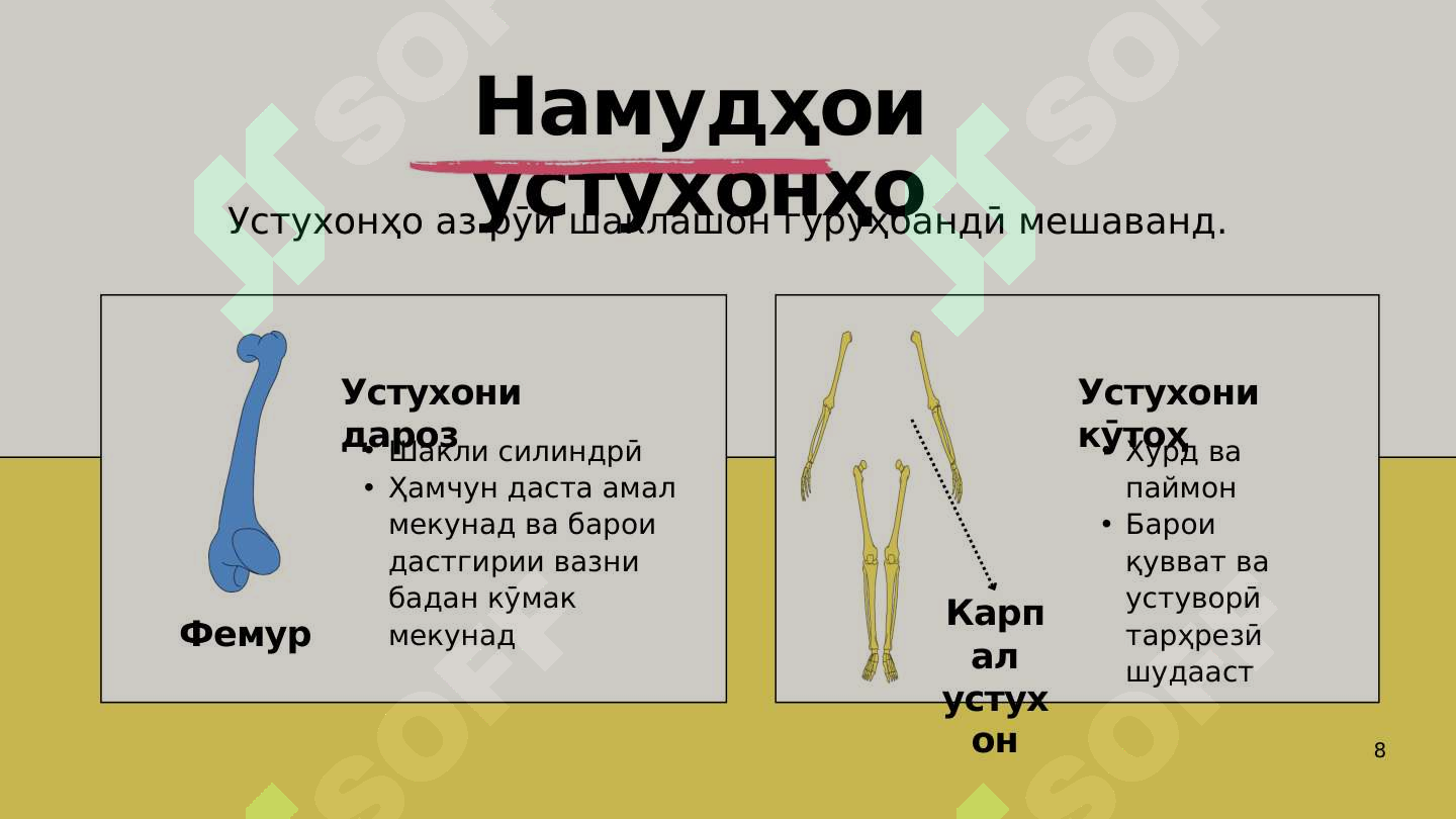 Preview 8