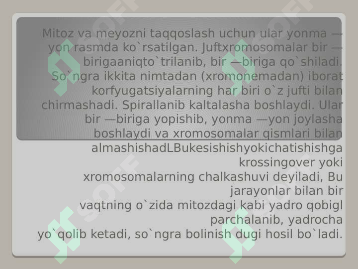 Preview 7