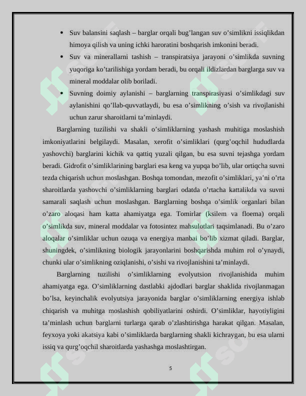 Preview 5