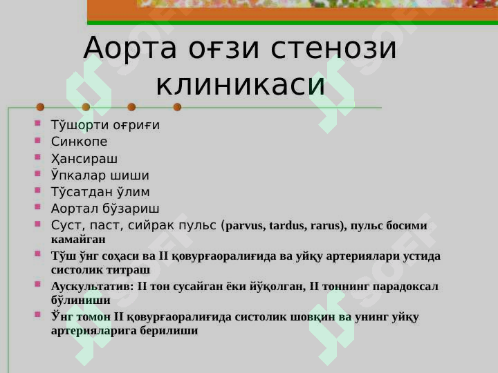 Preview 8
