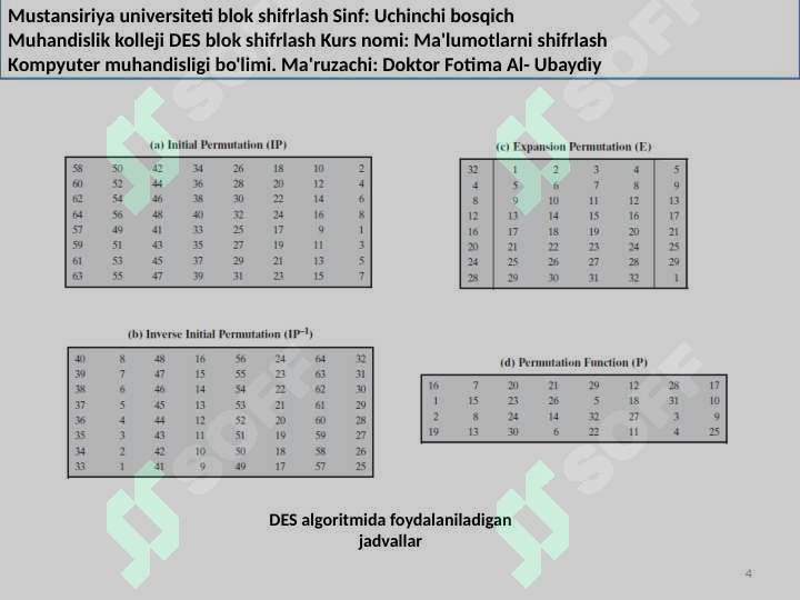 Preview 4