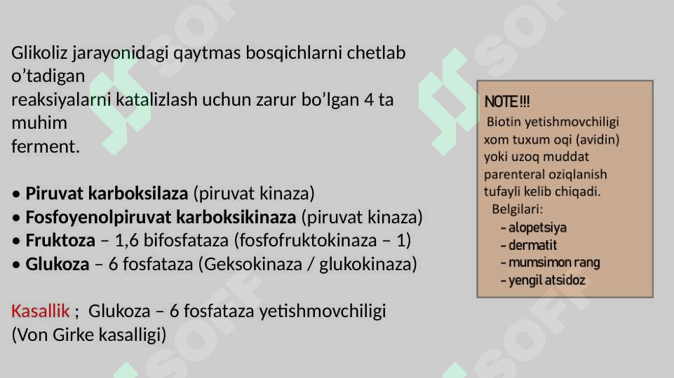 Preview 7