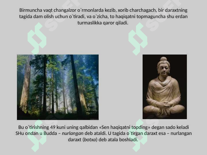 Preview 8