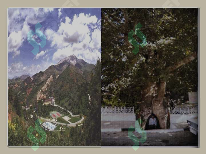 Preview 7