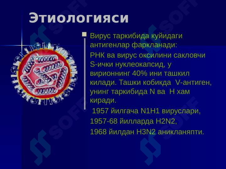 Preview 5