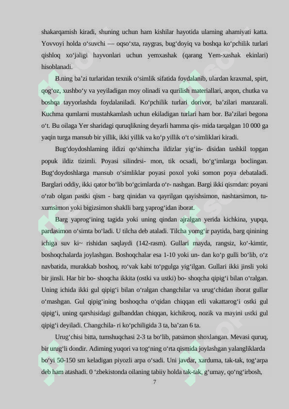 Preview 6