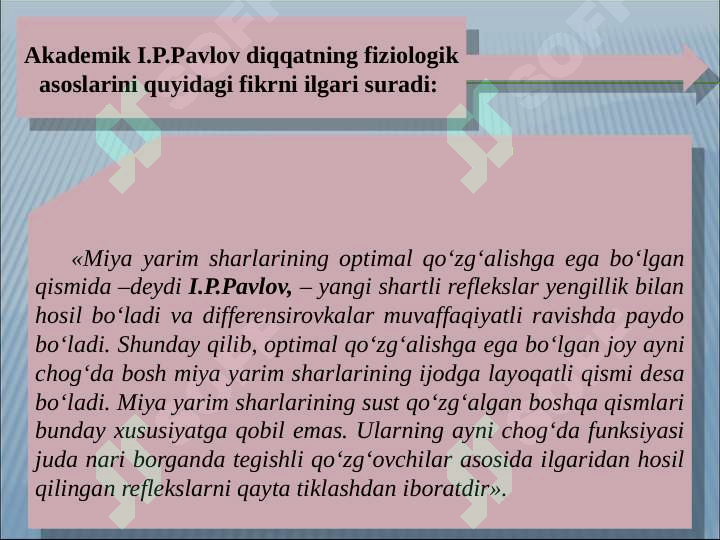 Preview 7