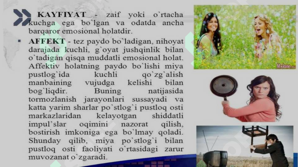 Preview 7