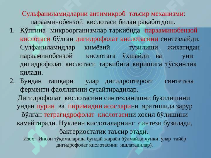 Preview 5