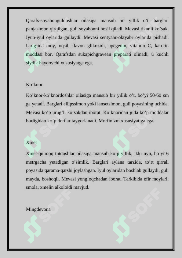 Preview 5