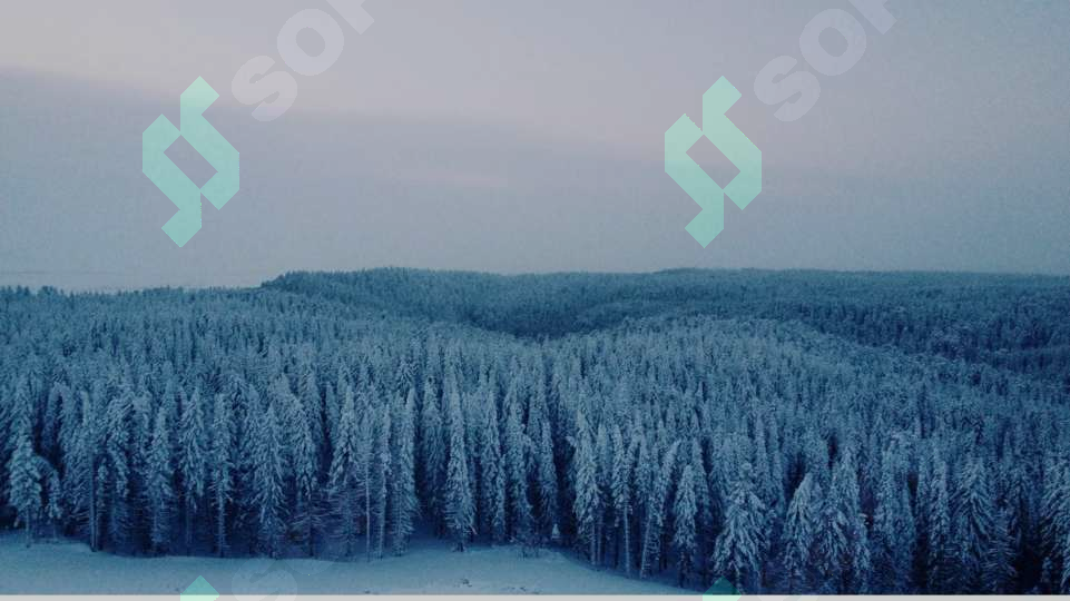 Preview 6