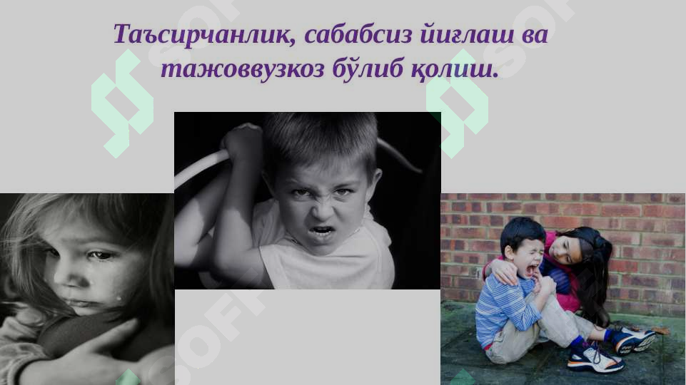 Preview 8
