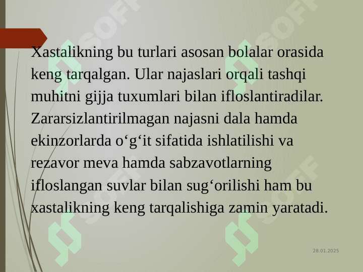 Preview 6