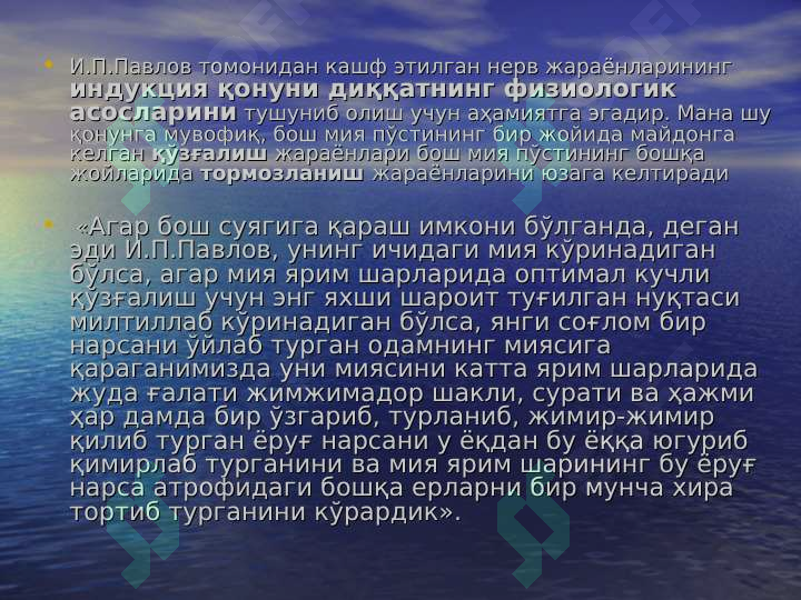 Preview 8
