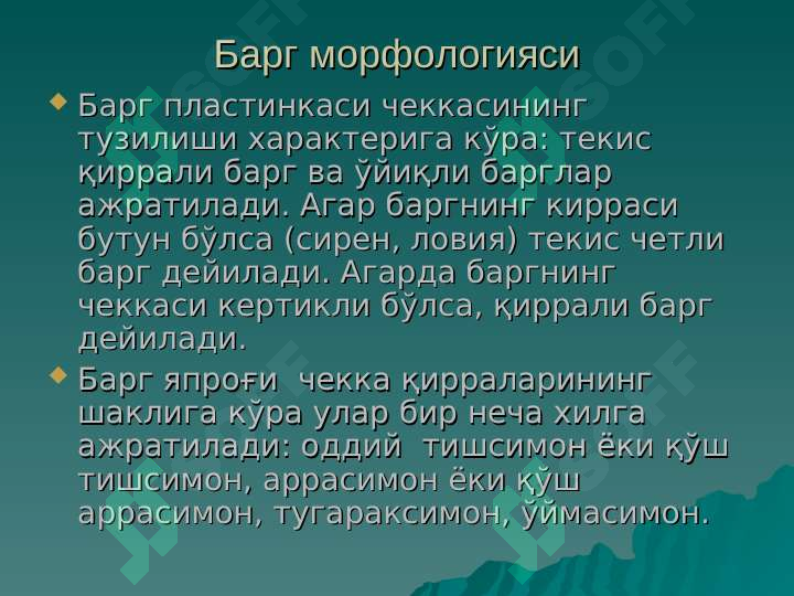 Preview 5