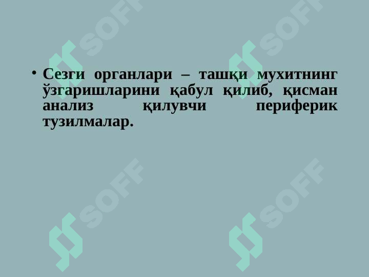 Preview 7