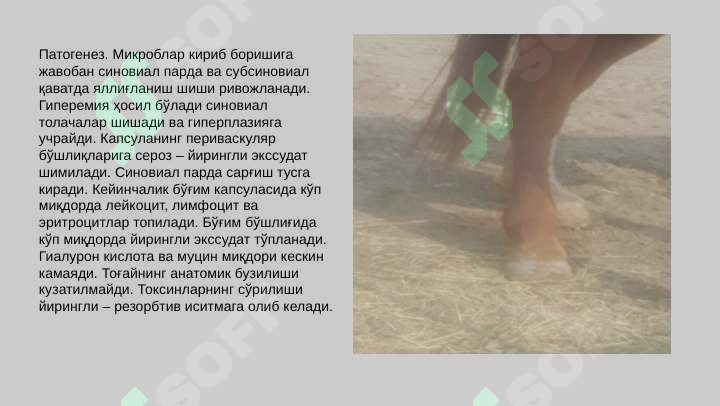Preview 7