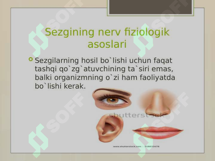 Preview 8
