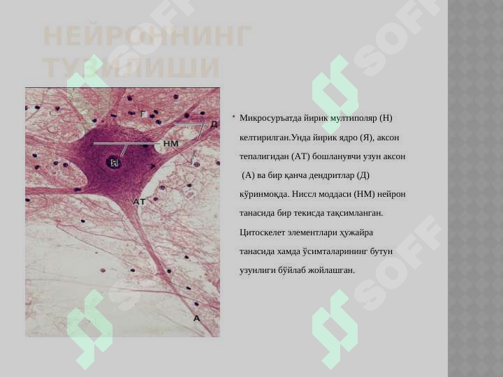Preview 5