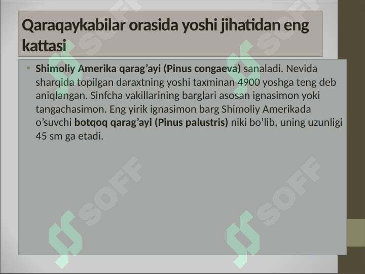 Preview 6