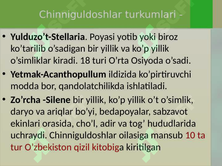Preview 6
